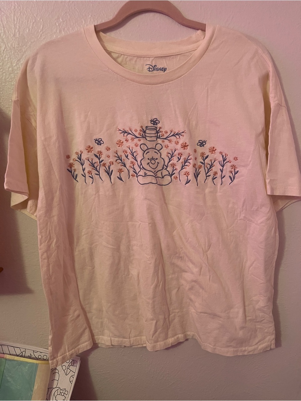 Winnie the Pooh shirt, 2X